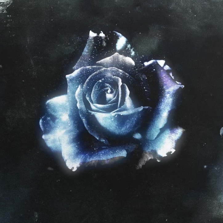 Breakthrough Even — Where I Belong single cover: a luminous blue rose against a dark, star-flecked background